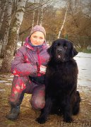 Превью фото № 148138