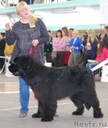 Превью фото № 148141