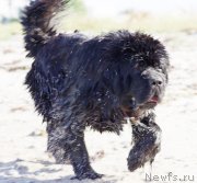 Превью фото № 148152