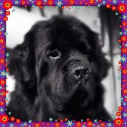 Превью фото № 148178