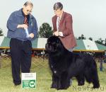 Превью фото № 14818