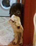 Превью фото № 148182