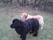 Превью фото № 148188