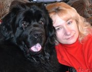 Превью фото № 148201