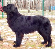 Превью фото № 148203