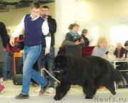 Превью фото № 148255