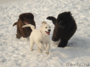 Превью фото № 148326