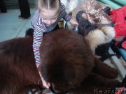 Превью фото № 148329