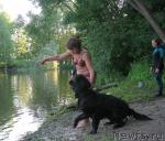 Превью фото № 14833