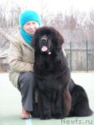 Превью фото № 148335