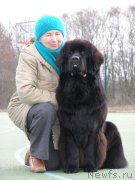 Превью фото № 148336