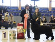 Превью фото № 148337