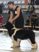 Превью фото № 148350