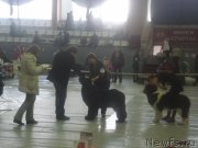 Превью фото № 148353