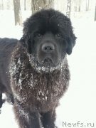 Превью фото № 148372