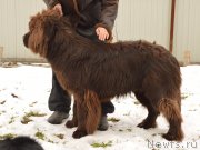 Превью фото № 148374