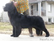 Превью фото № 148398