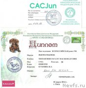 Превью фото № 148413