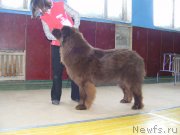 Превью фото № 148414