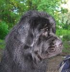 Превью фото № 14843