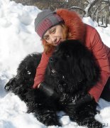 Превью фото № 148489