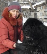 Превью фото № 148490