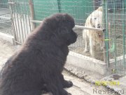 Превью фото № 148513