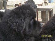 Превью фото № 148537