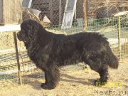 Превью фото № 148538