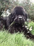 Превью фото № 148540