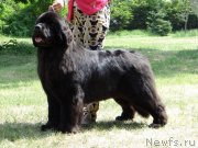 Превью фото № 148585