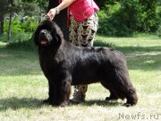 Превью фото № 148587