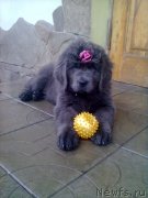 Превью фото № 148592