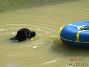 Превью фото № 148606