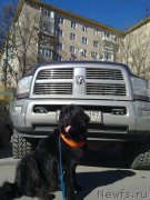 Превью фото № 148762