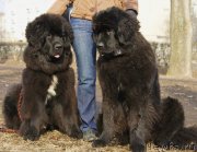 Превью фото № 148768