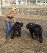 Превью фото № 148771