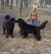 Превью фото № 148772