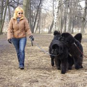 Превью фото № 148773