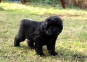 Превью фото № 148784