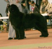 Превью фото № 148827