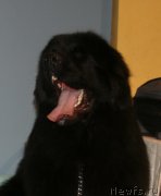 Превью фото № 148828