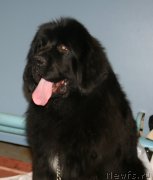 Превью фото № 148830