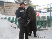 Превью фото № 148832