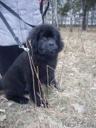 Превью фото № 148932