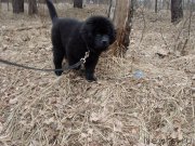 Превью фото № 148934