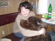 Превью фото № 148950