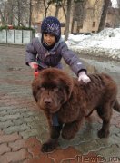 Превью фото № 148959