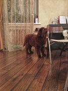 Превью фото № 148960