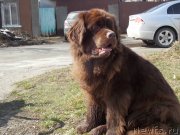 Превью фото № 149025